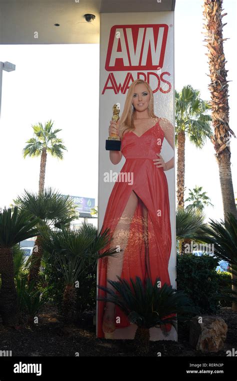 avn las vegas nv